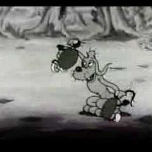 Meet your Posher, Franklin